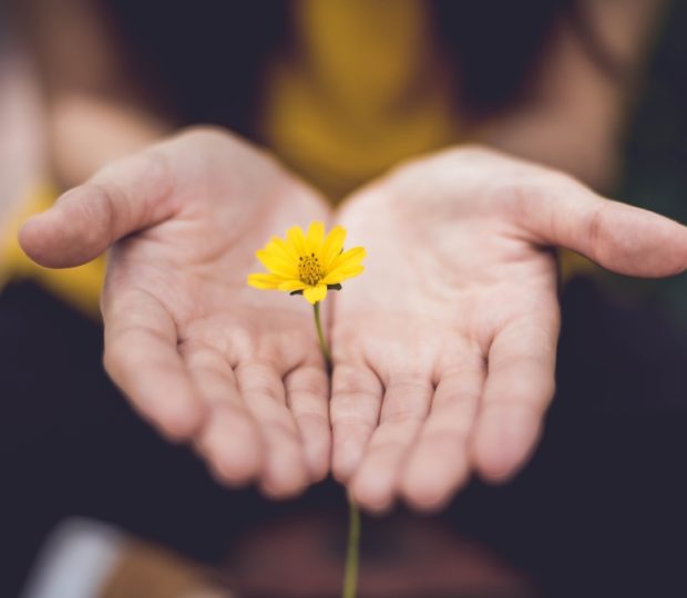 Construcción de Esperanza